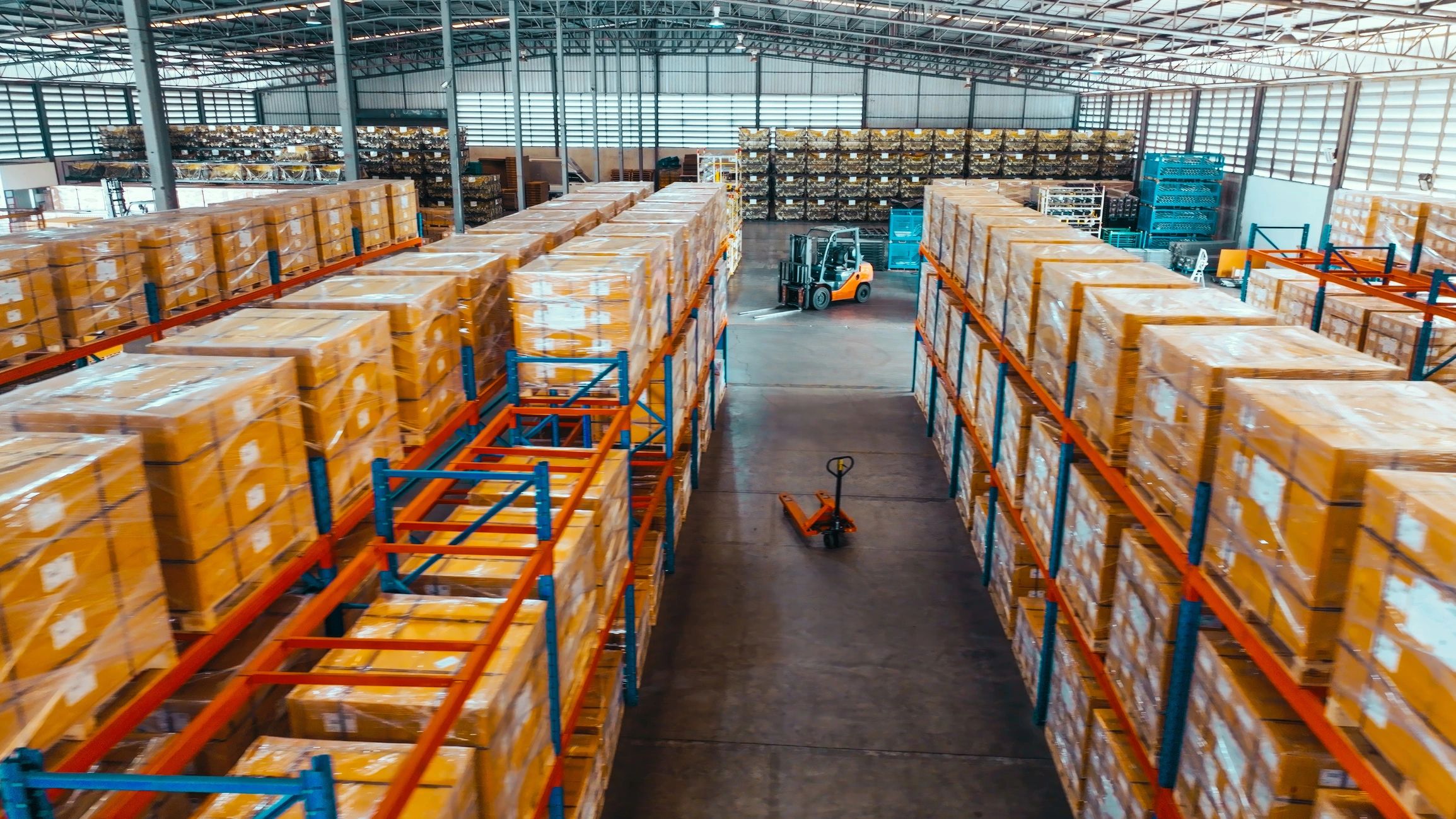 Warehouse storage racks and cargo